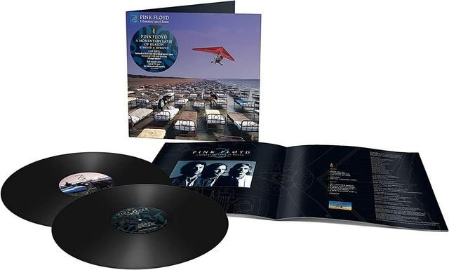 Pink Floyd A Momentary Lapse Of Reason